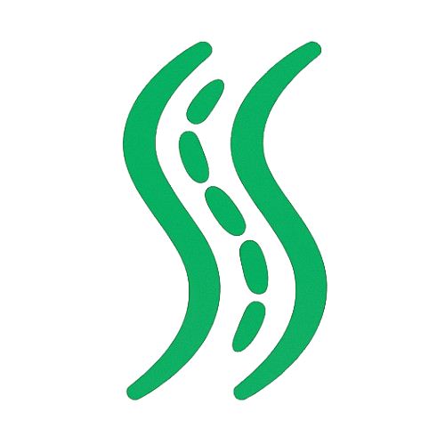 Example Image