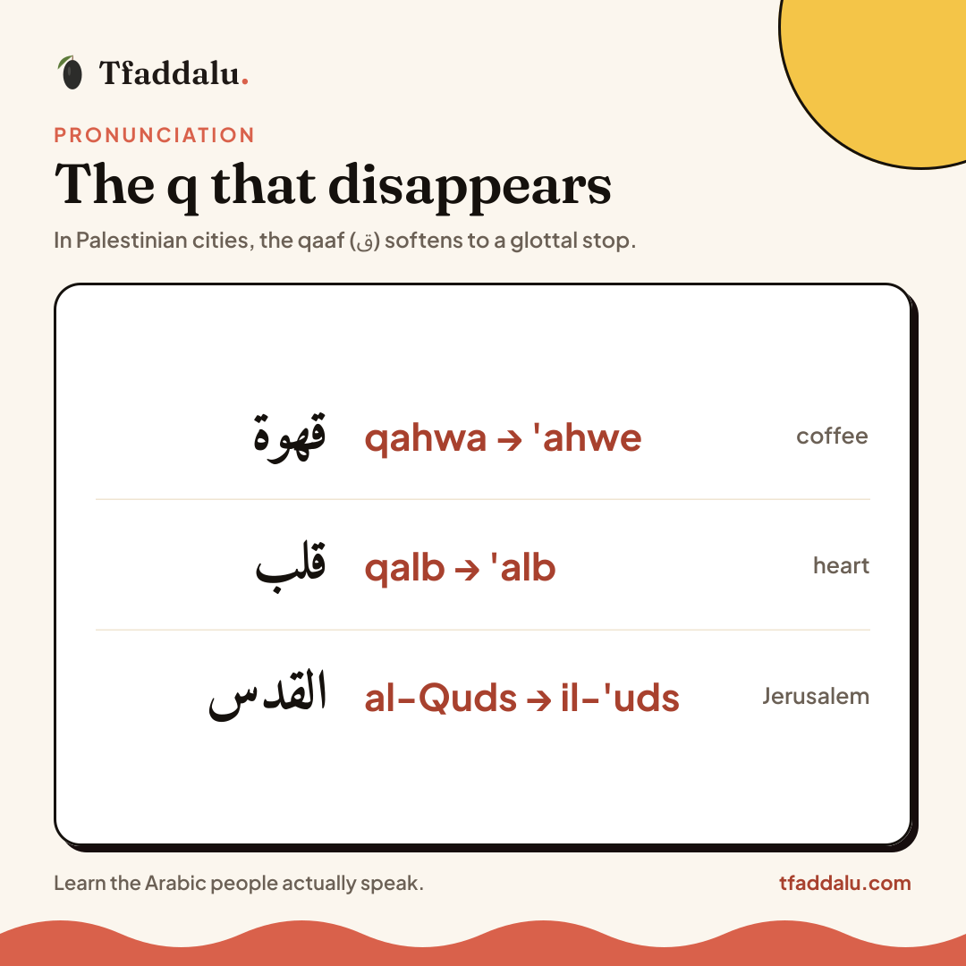 Example Image
