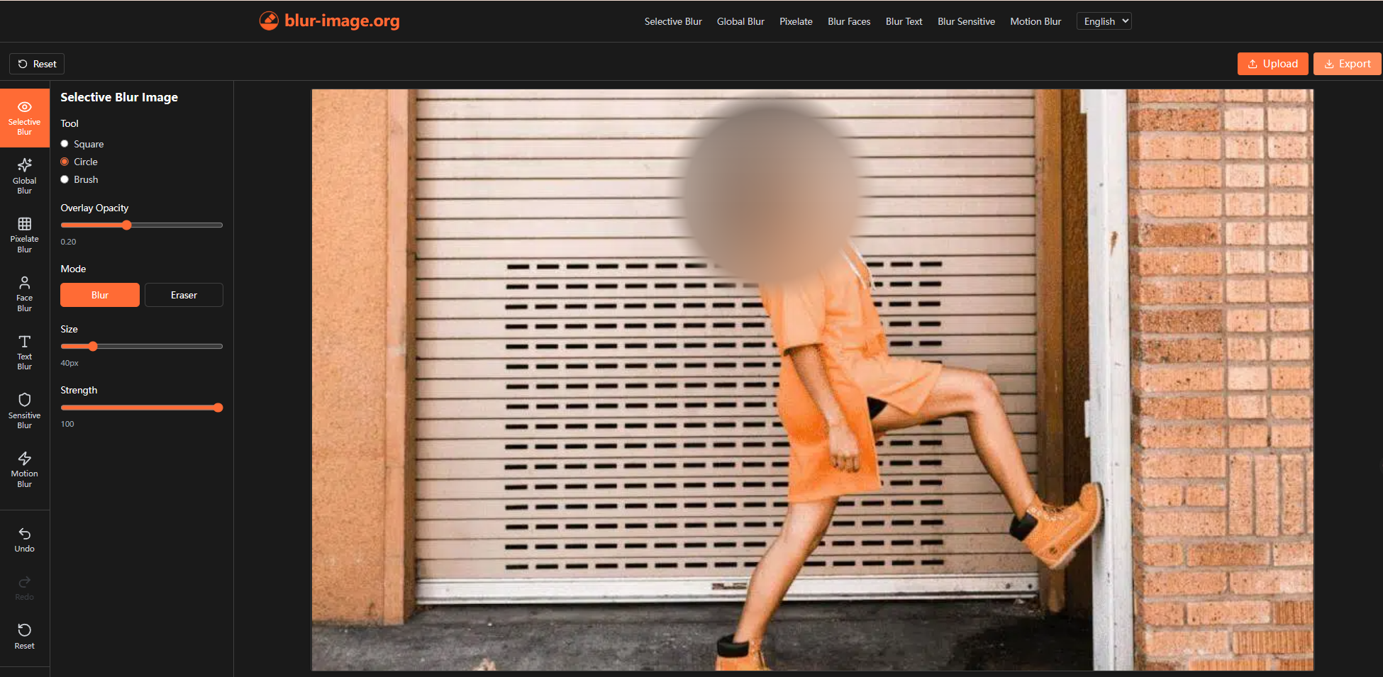 Example Image