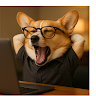 custom-img