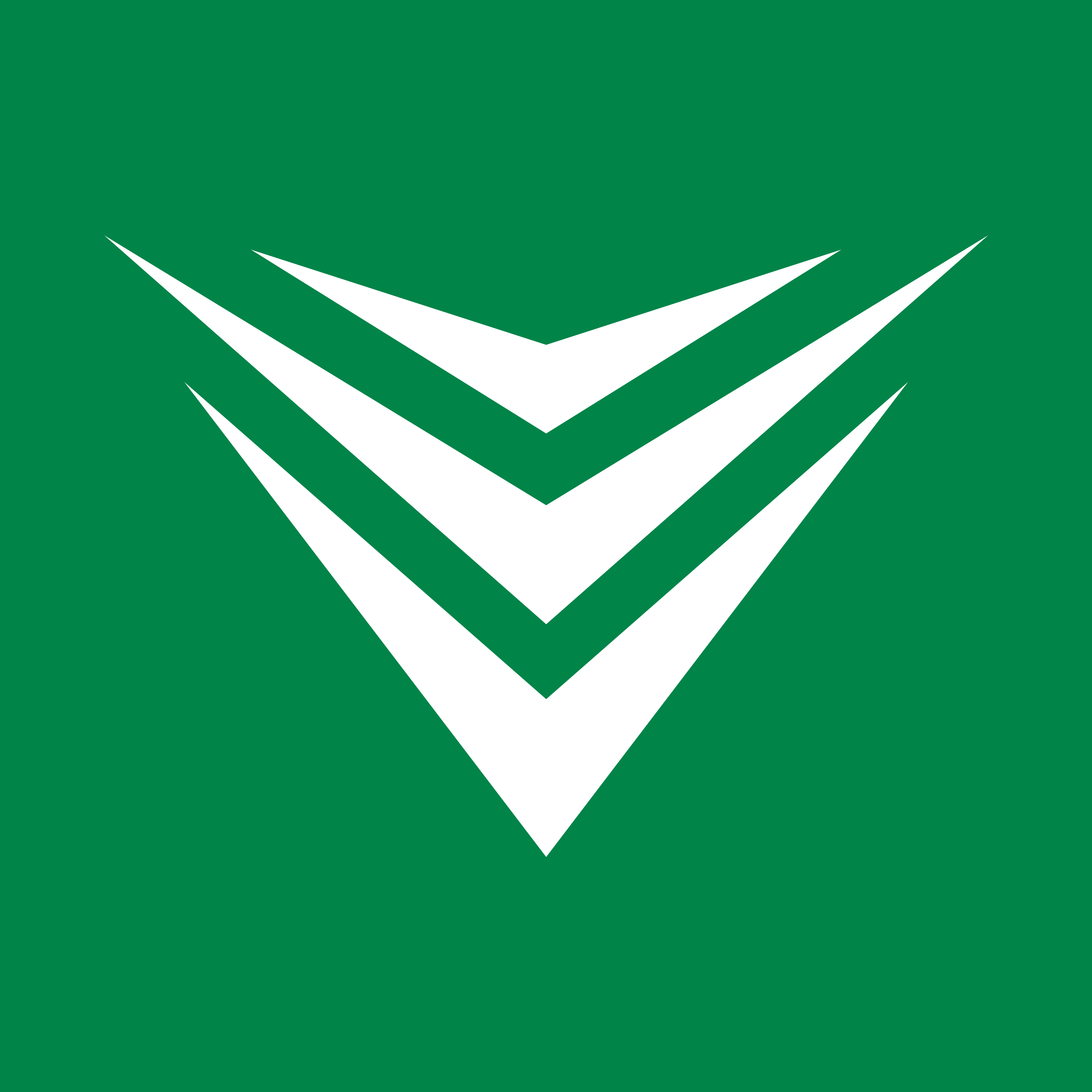 Example Image