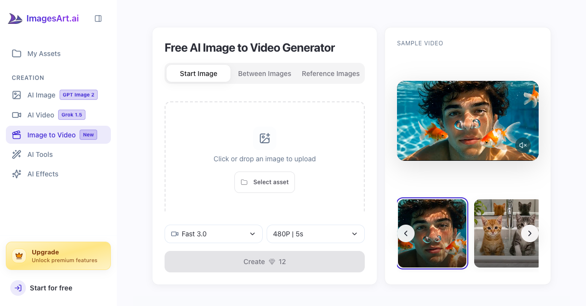 Example Image