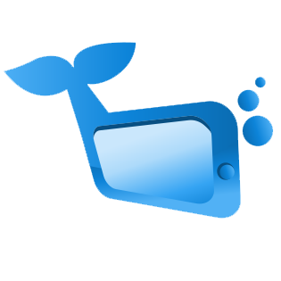 Example Image