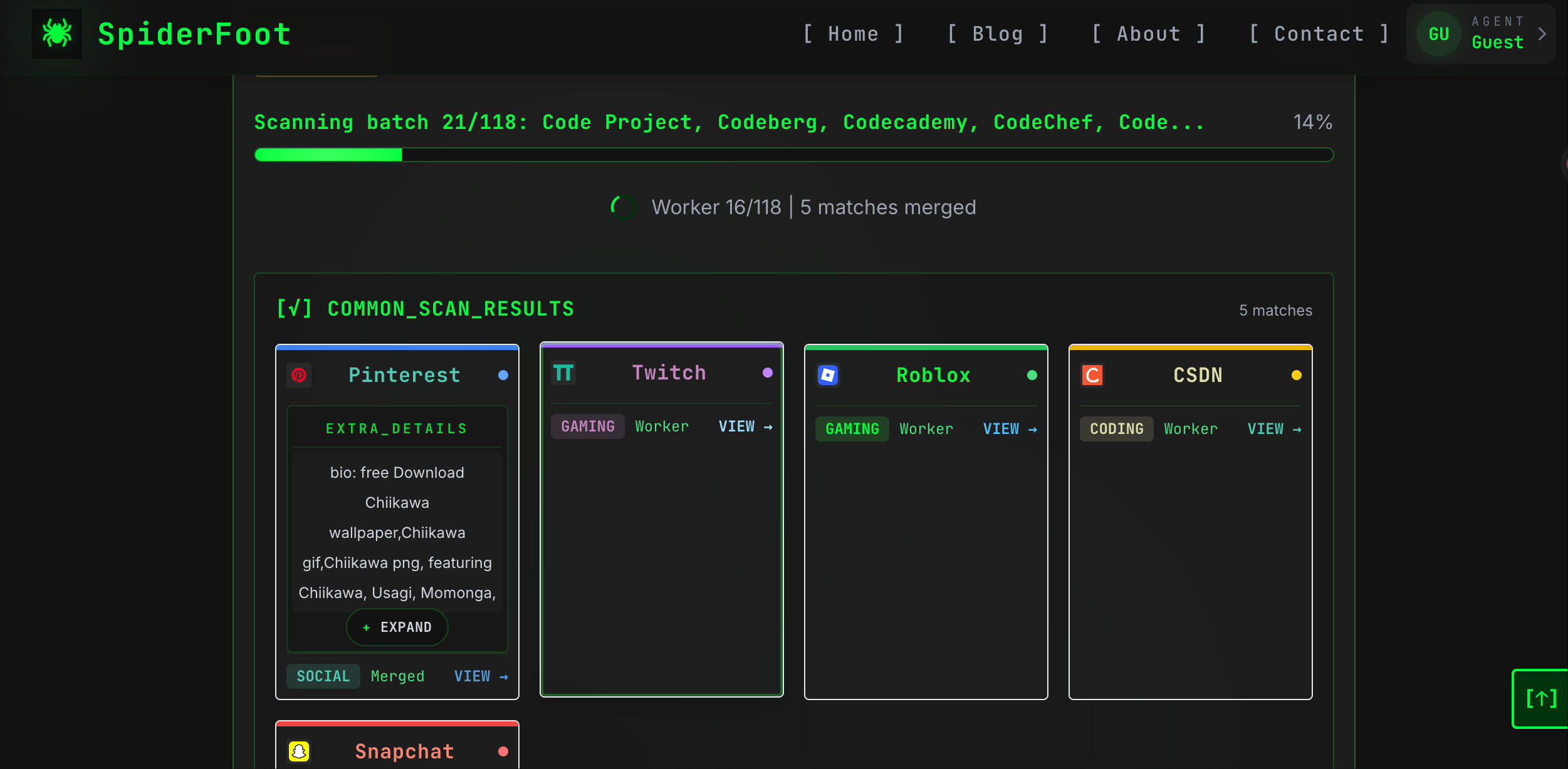 Example Image