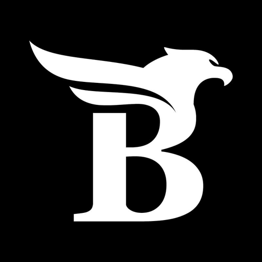 Example Image