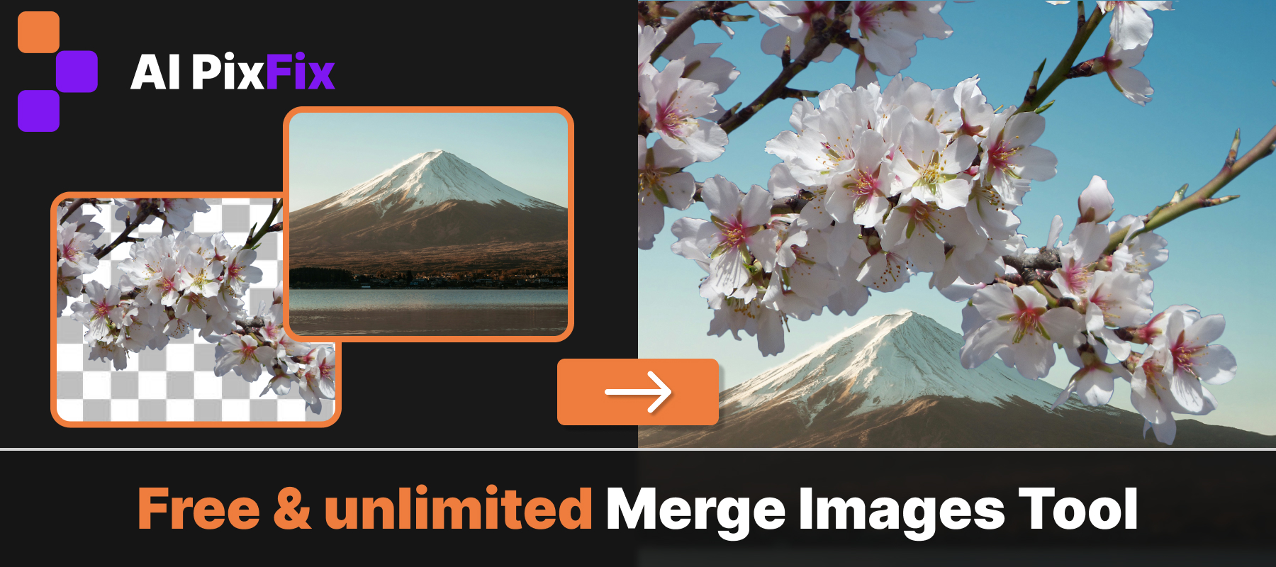 Example Image
