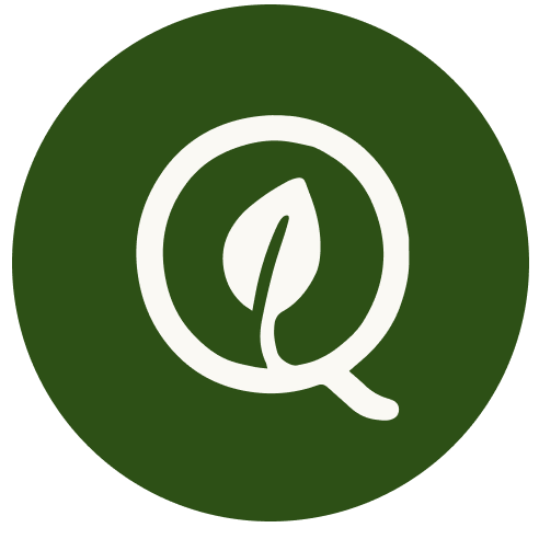Example Image