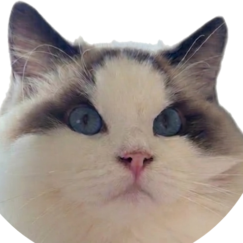 Example Image