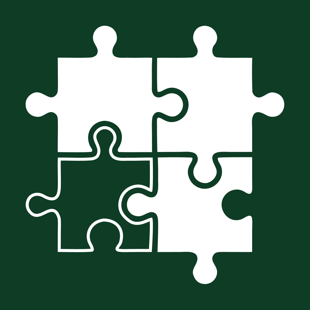 Example Image