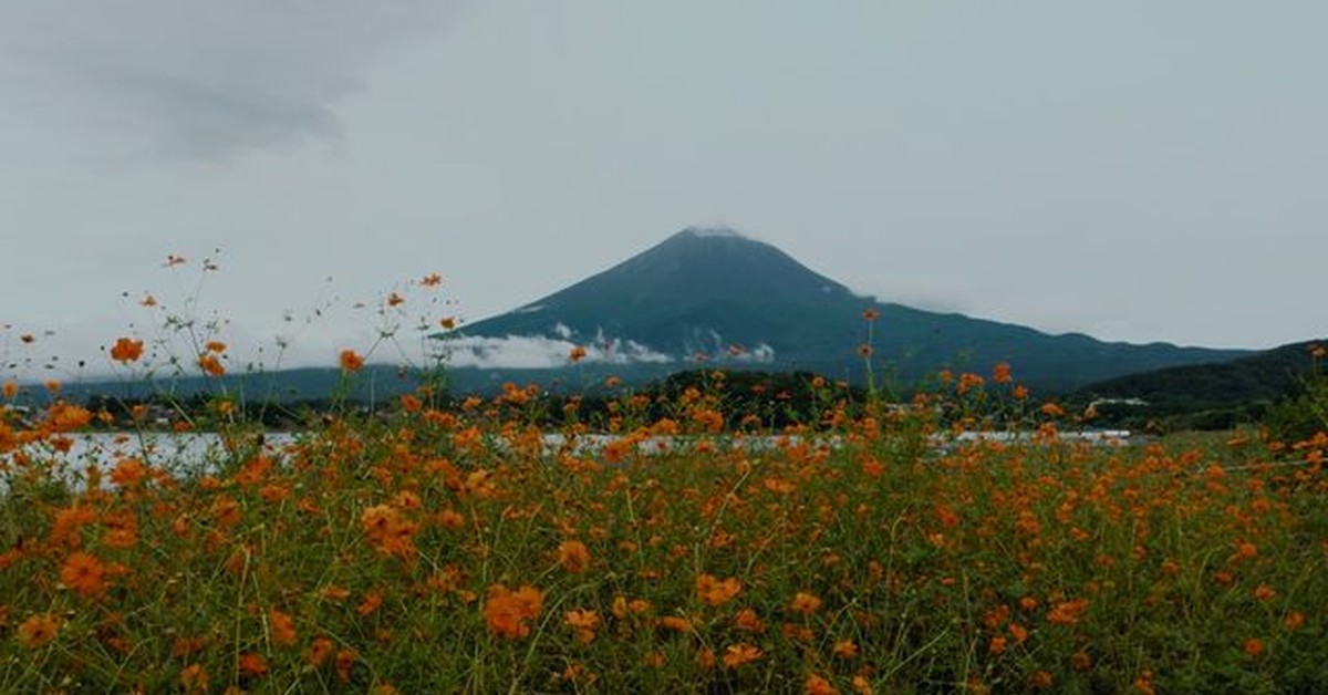 Example Image