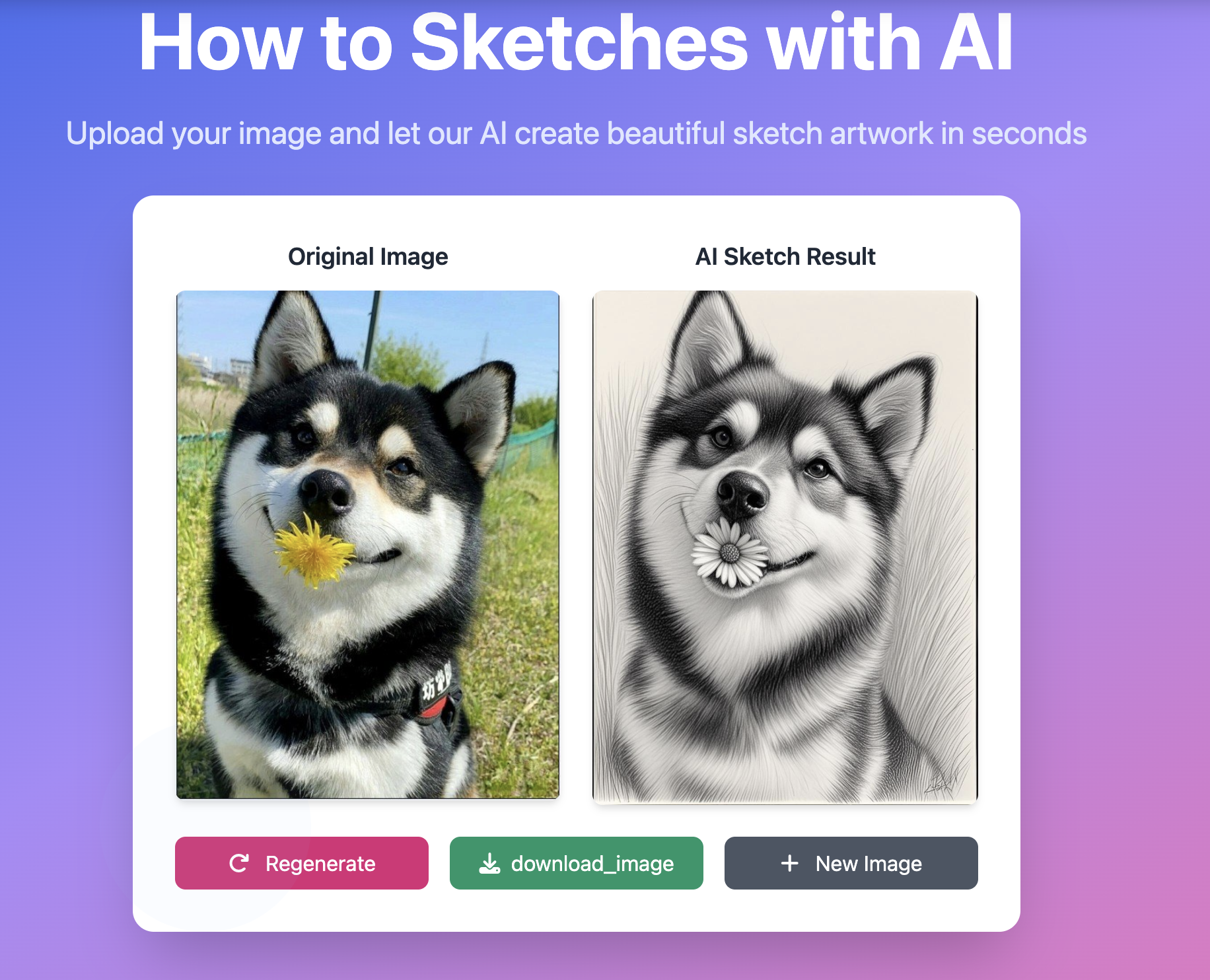 Example Image