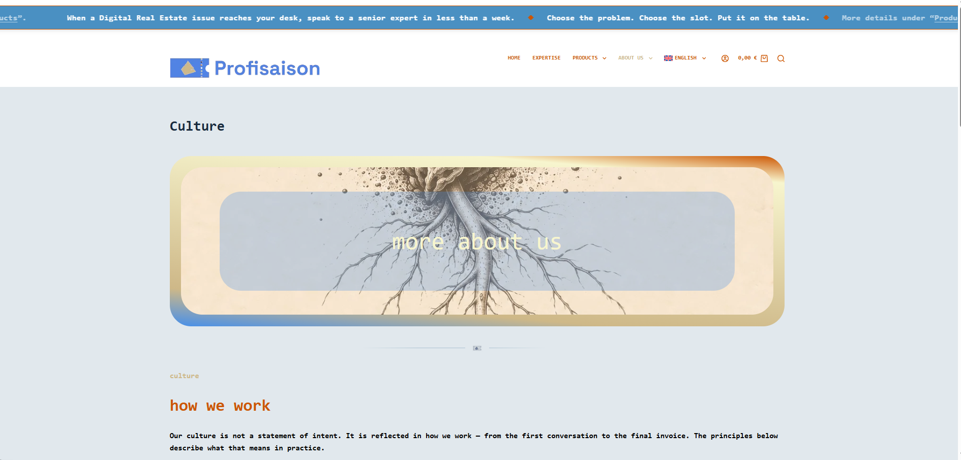 Example Image