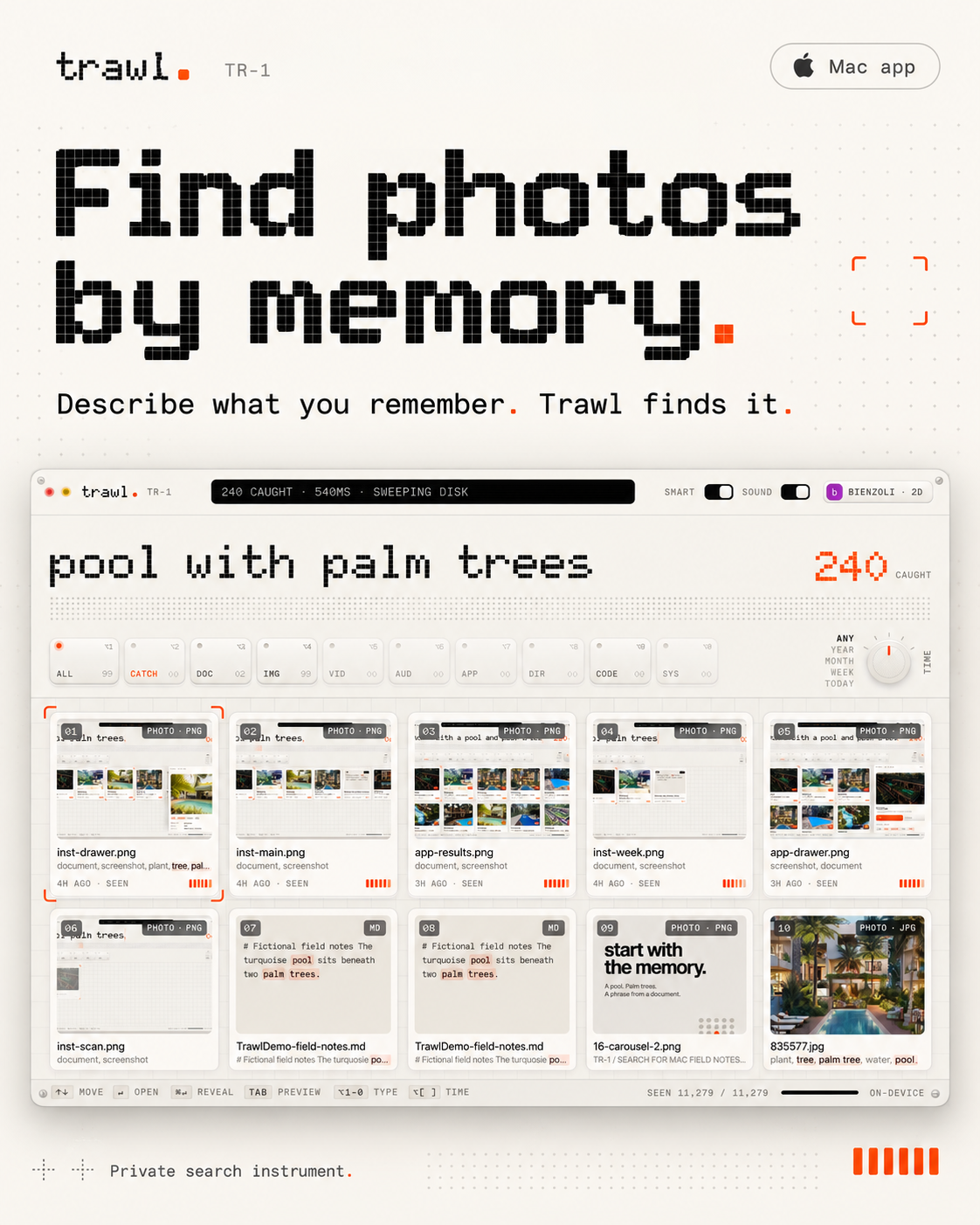 Example Image
