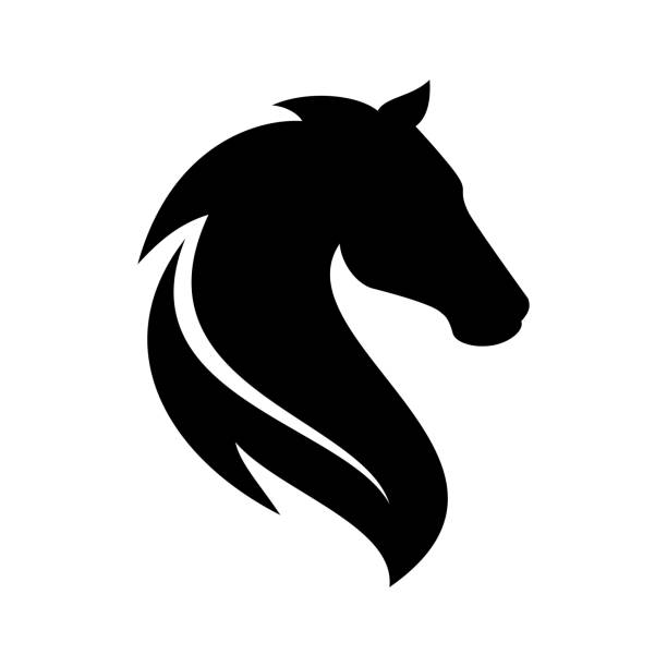 custom-img