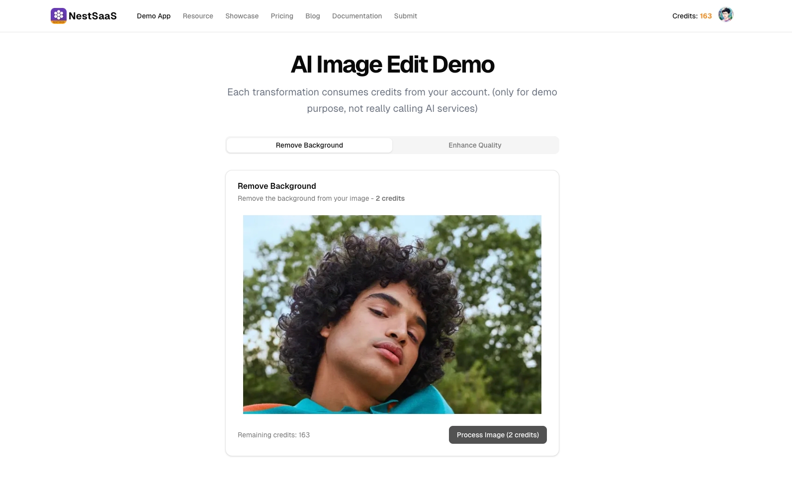 Example Image