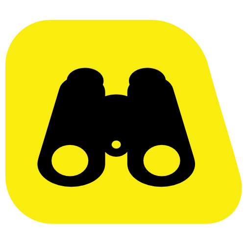 Example Image