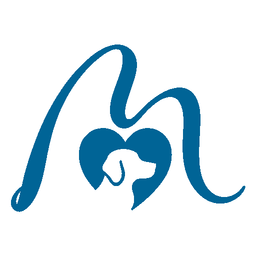Example Image