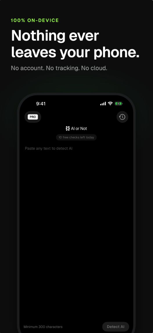 Example Image