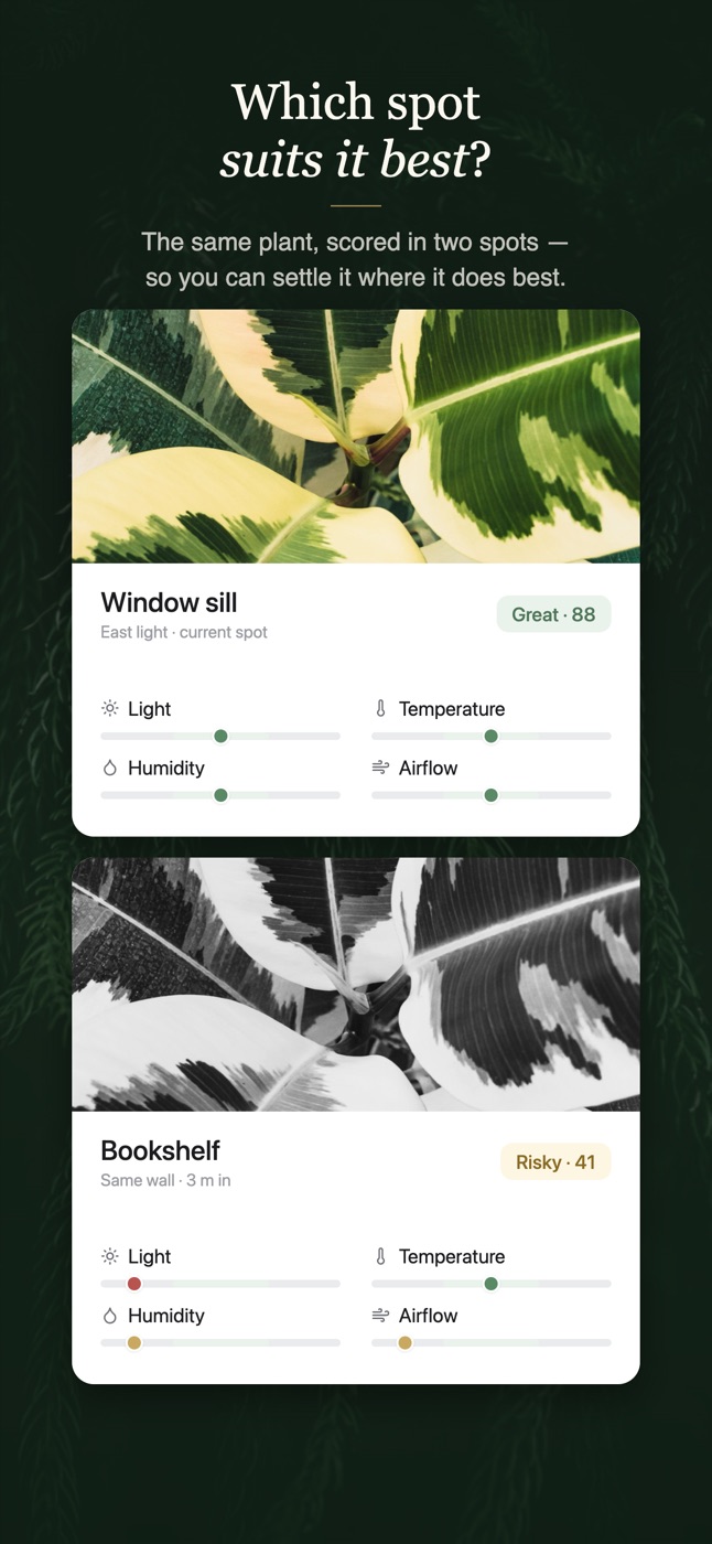 Example Image