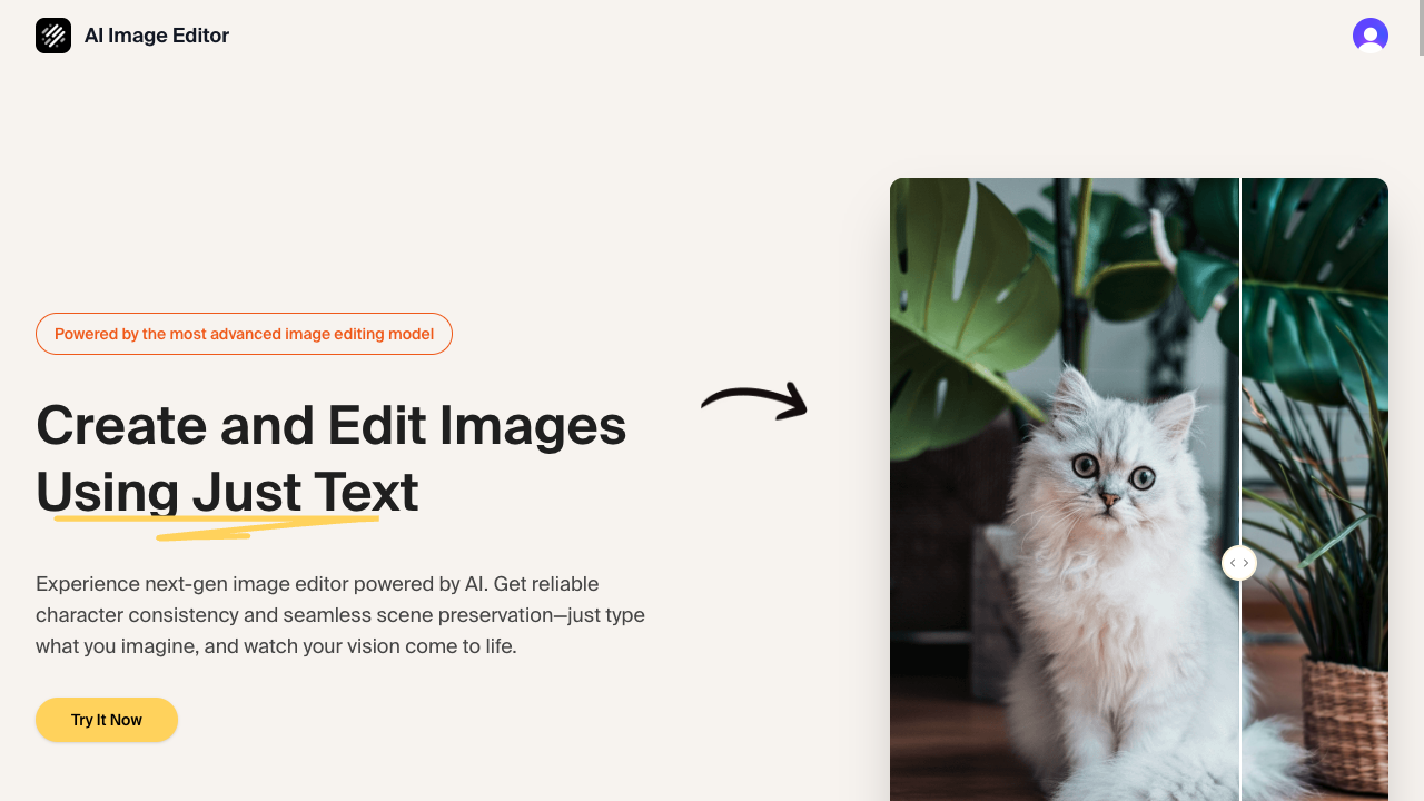 Example Image