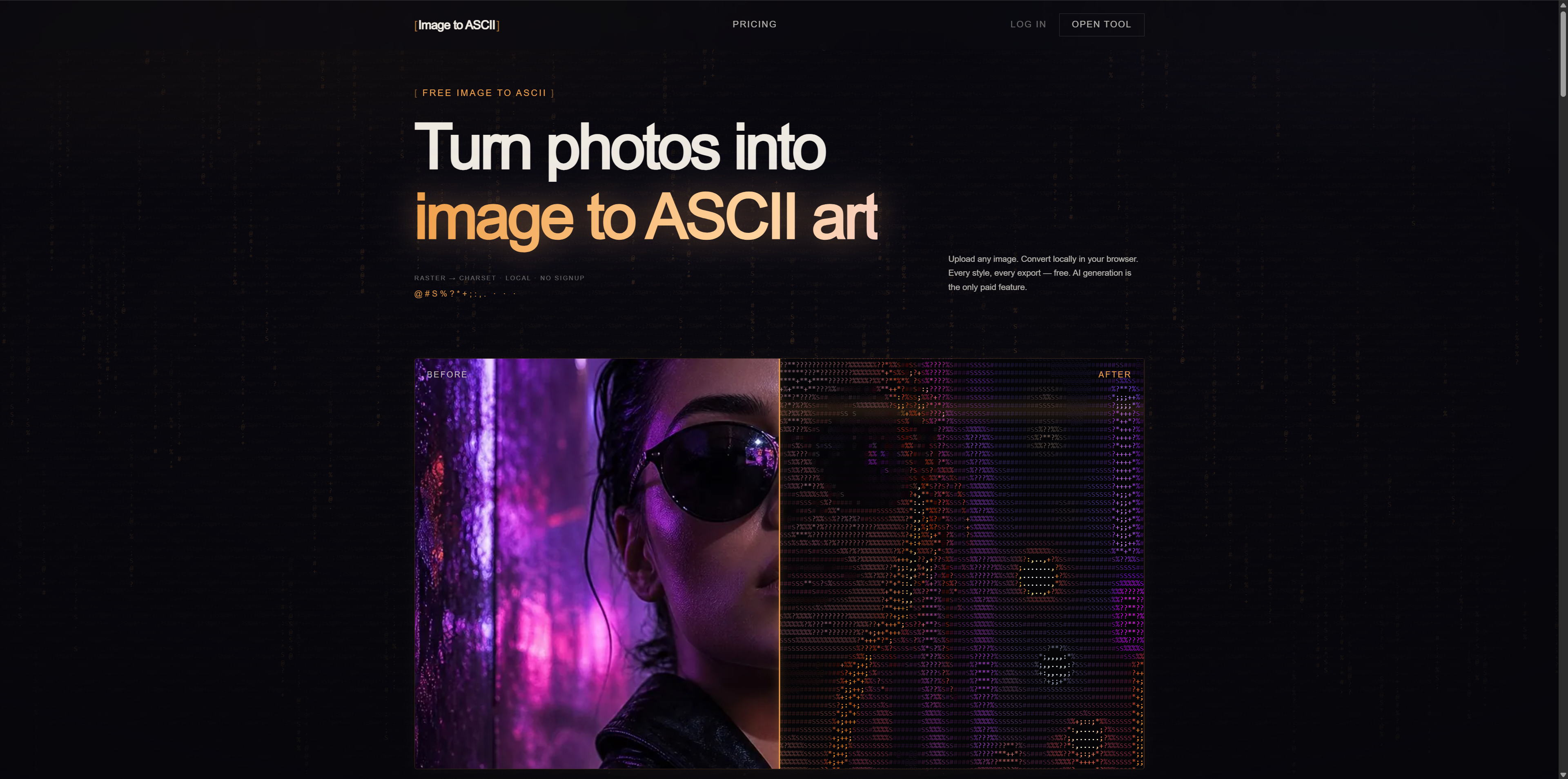 Example Image
