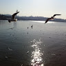 custom-img