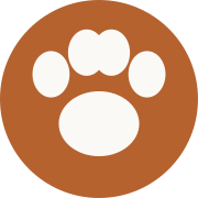 Example Image