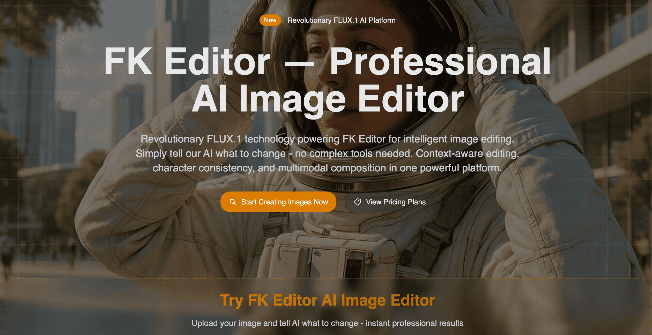 Example Image