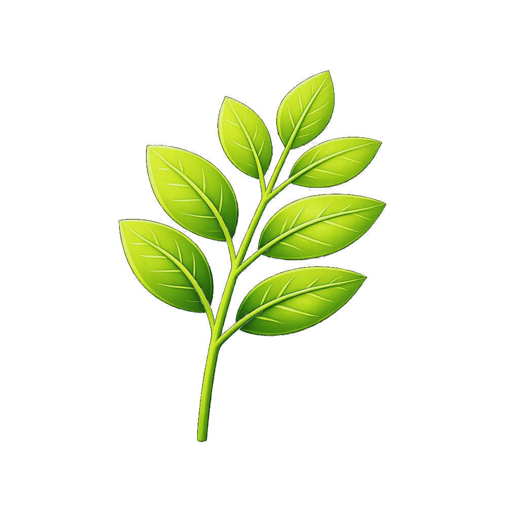 Example Image