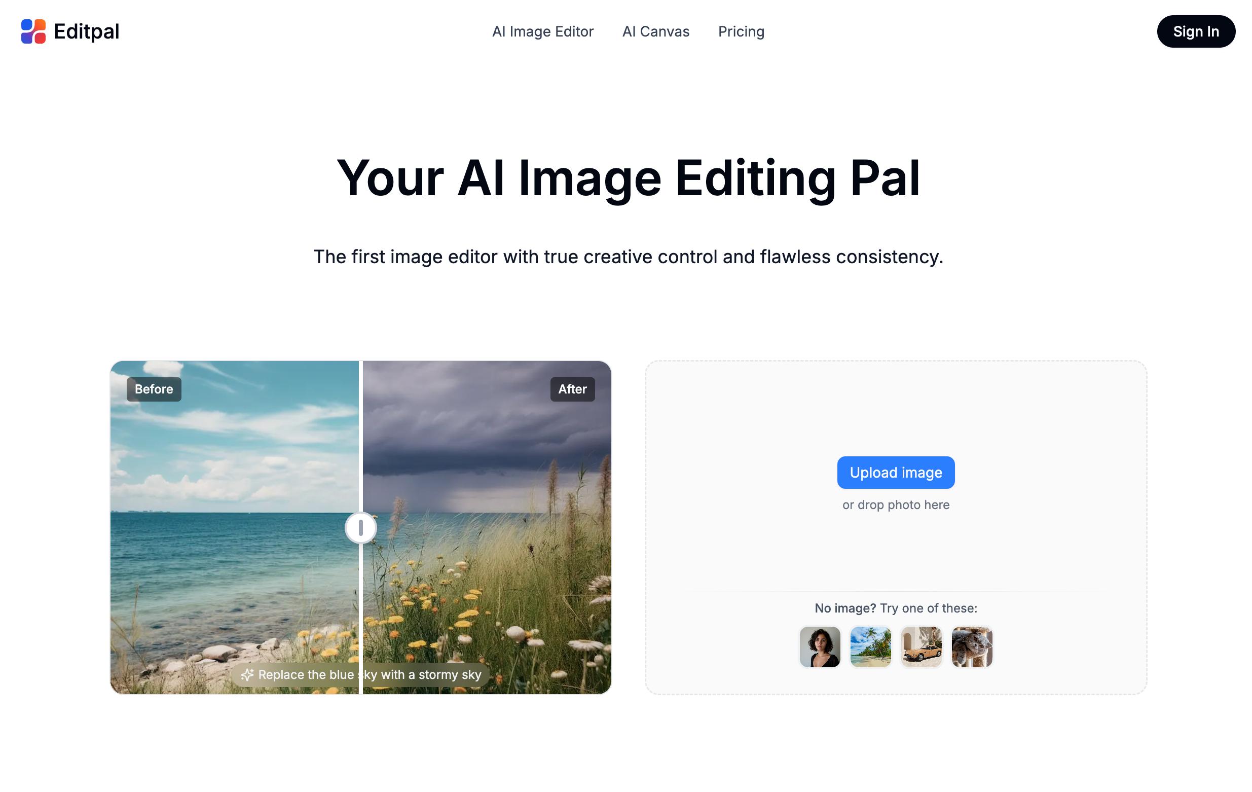 Example Image