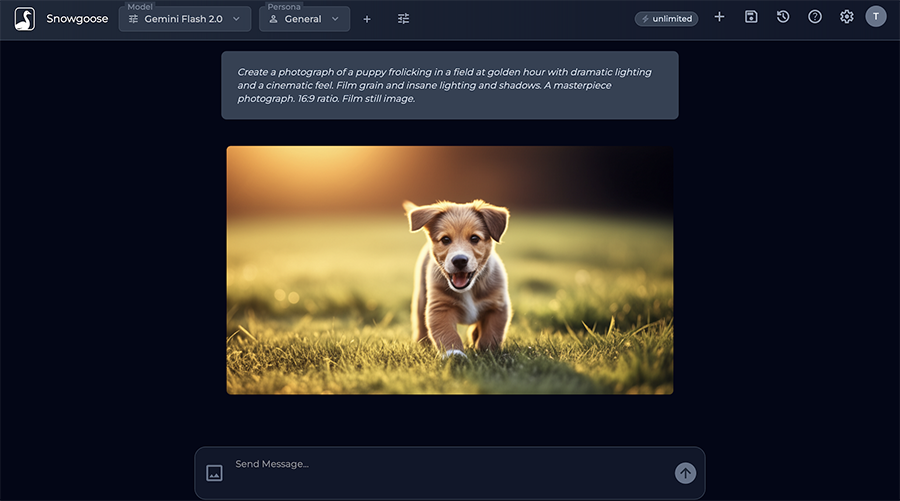 Example Image