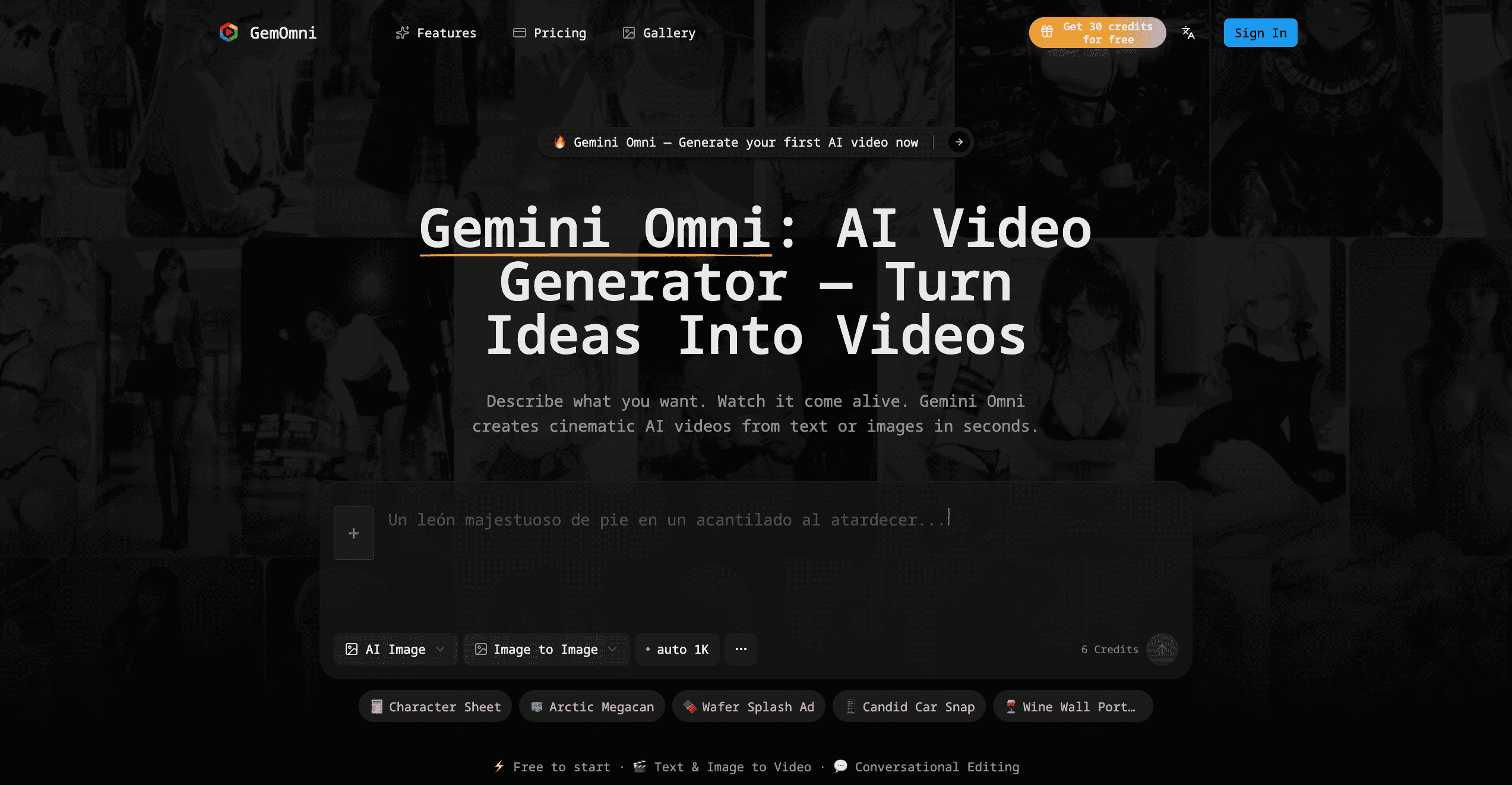 Example Image