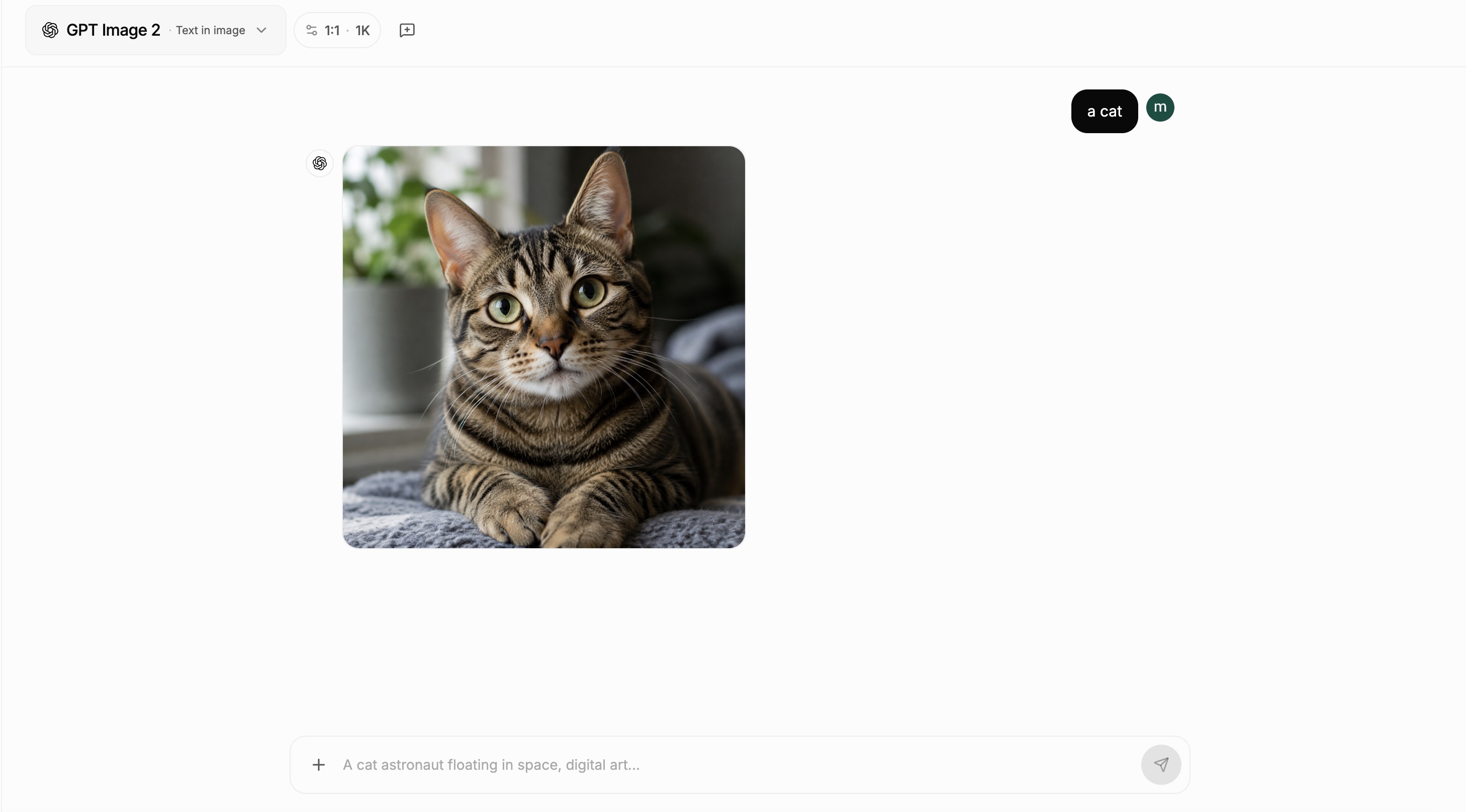 Example Image