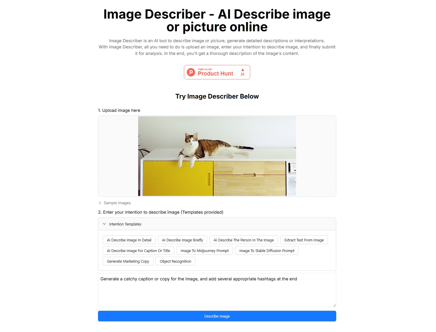 Example Image