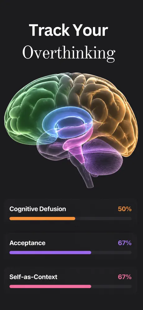 Example Image