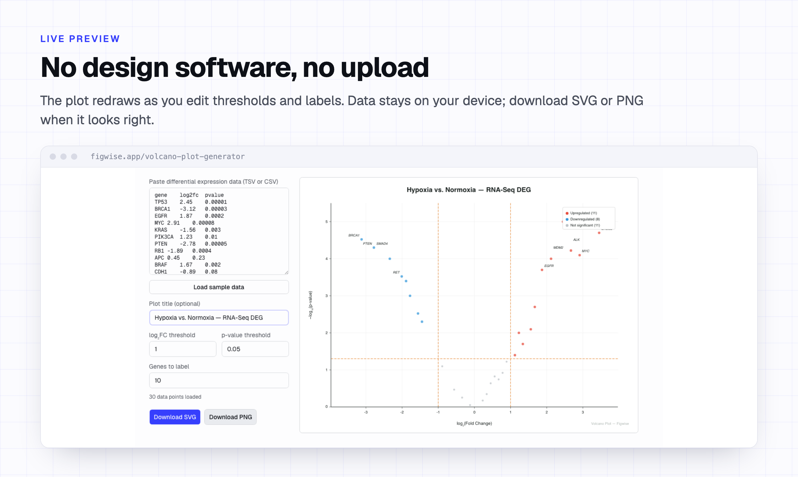 Example Image