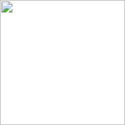 Example Image