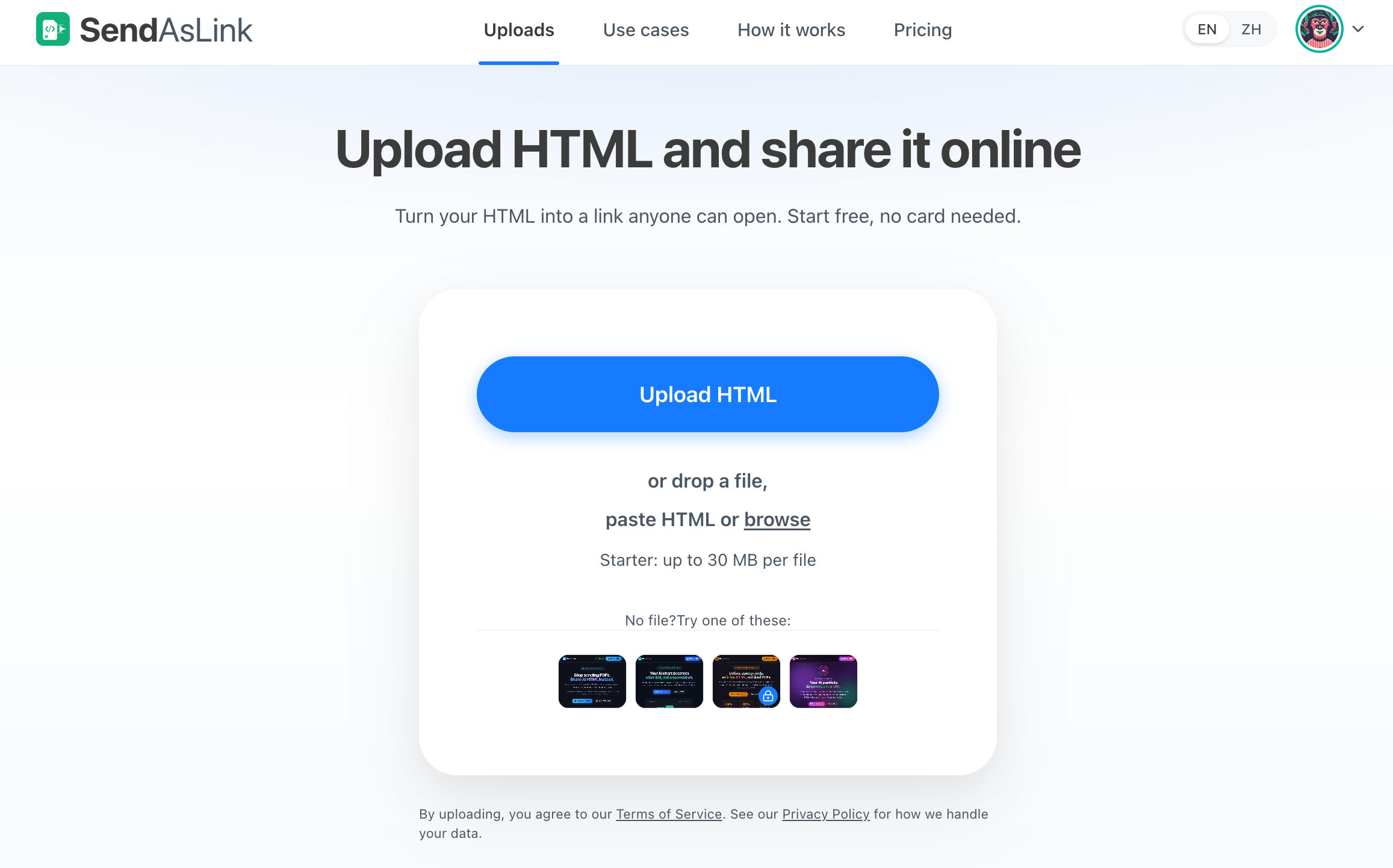 Example Image