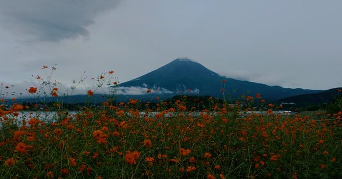Example Image