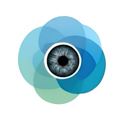 Example Image