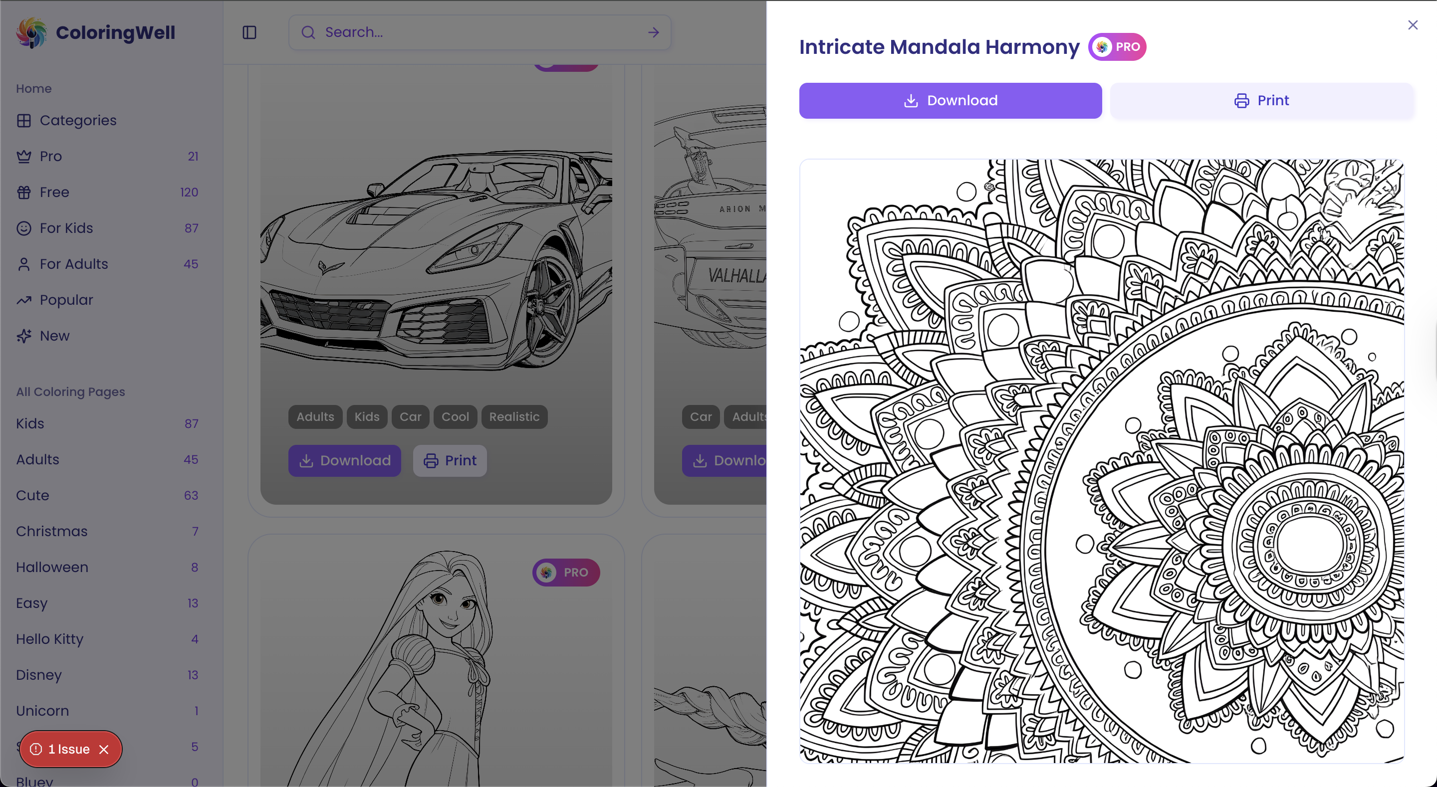 Example Image