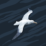 custom-img