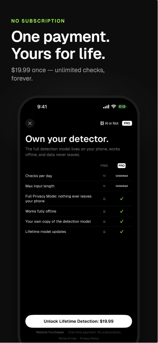Example Image
