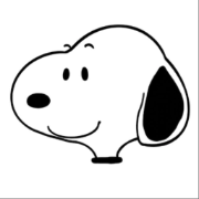 Example Image