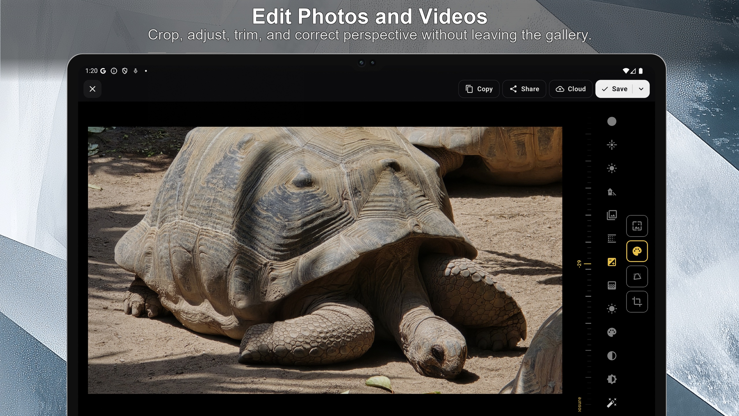 Example Image