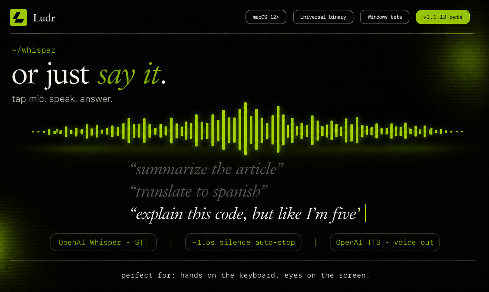 Example Image