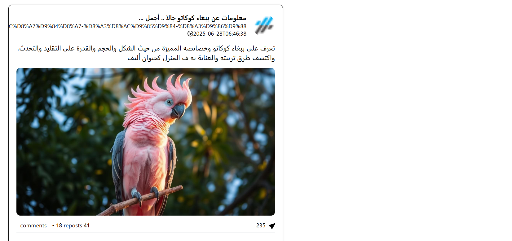 Example Image