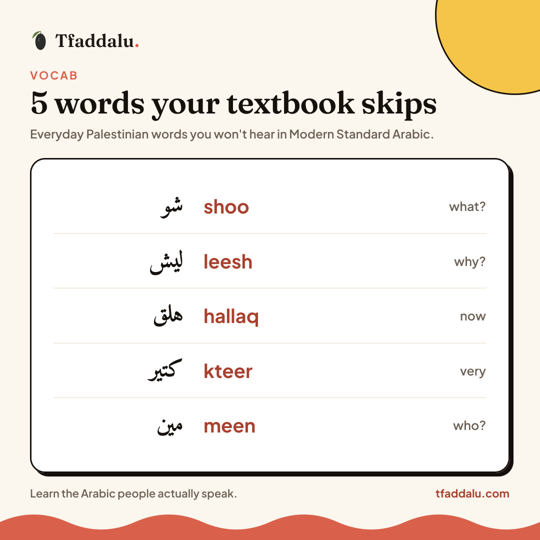 Example Image