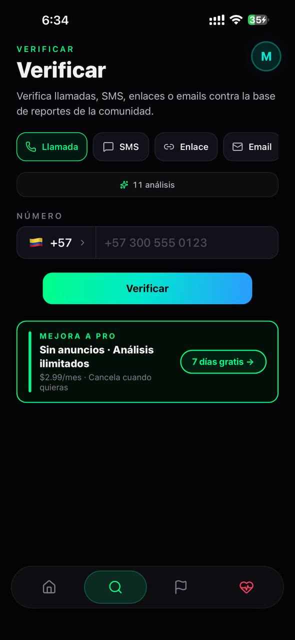 Example Image