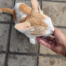 custom-img